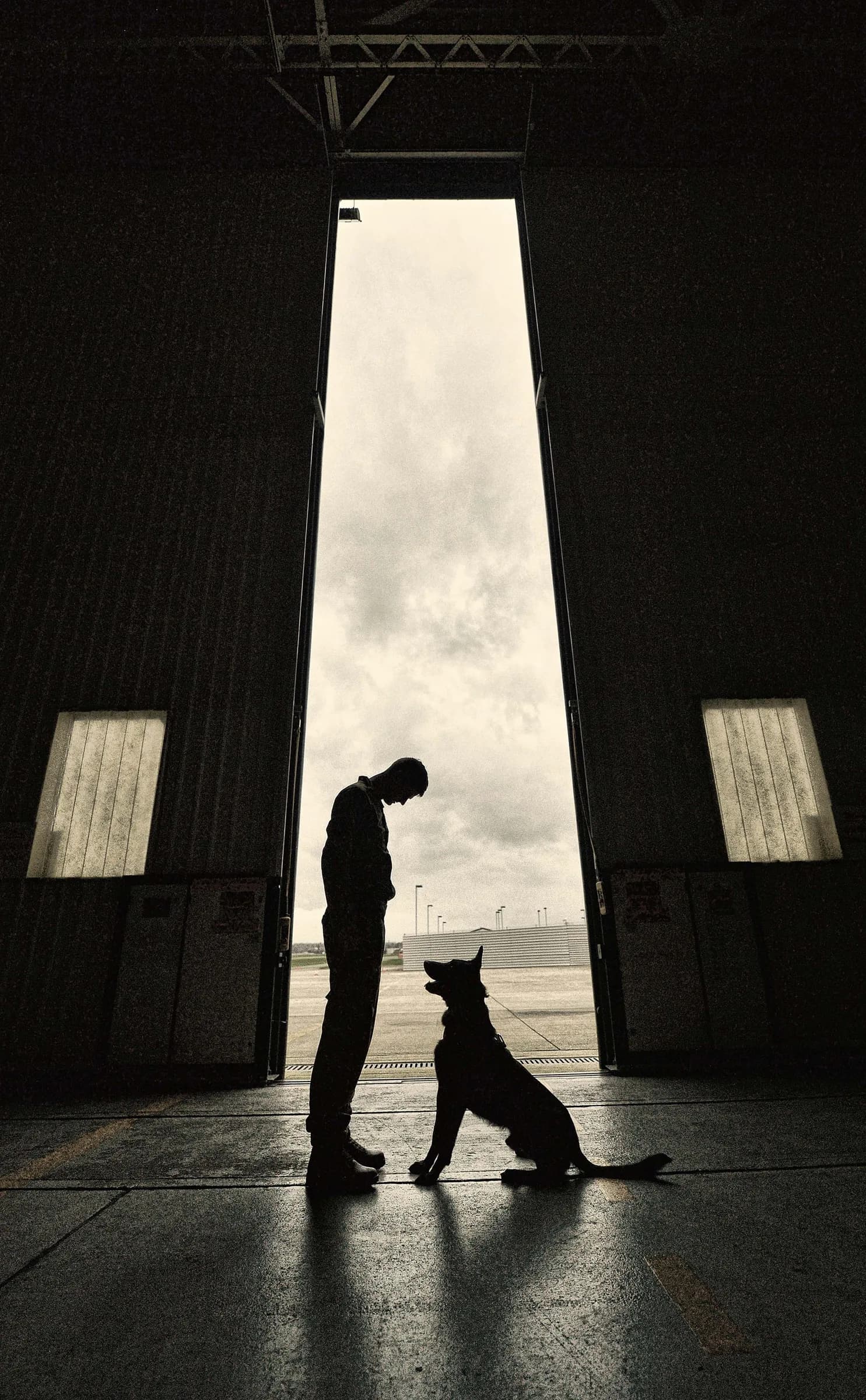A handler and dog silhouetted in a bright doorway