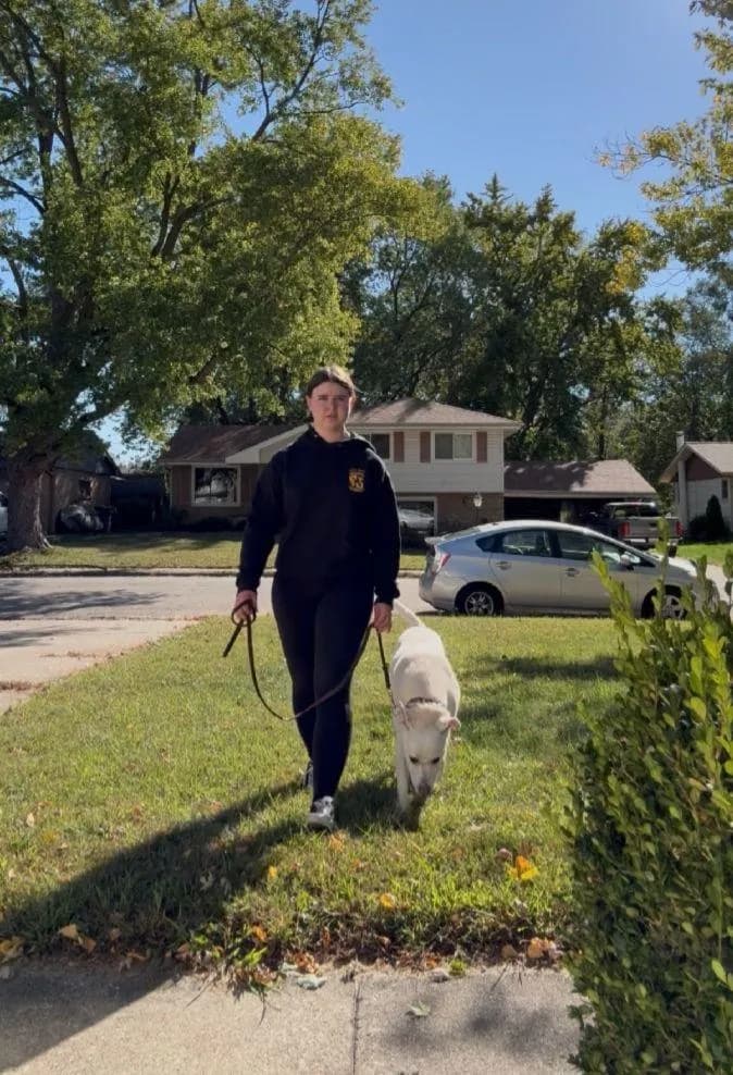 Briete walking a white shepherd in a calm heel down a suburban street